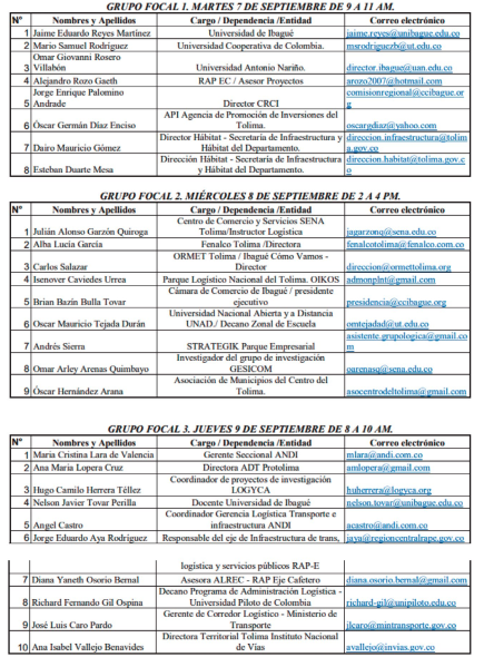 Nombre
de expertos participantes en los Grupos Focales
