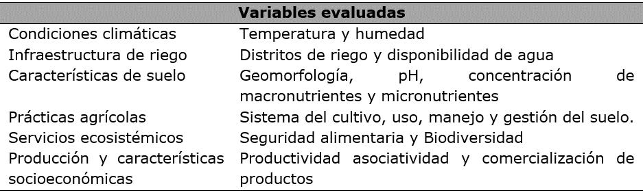 Principales variables del análisis estructural